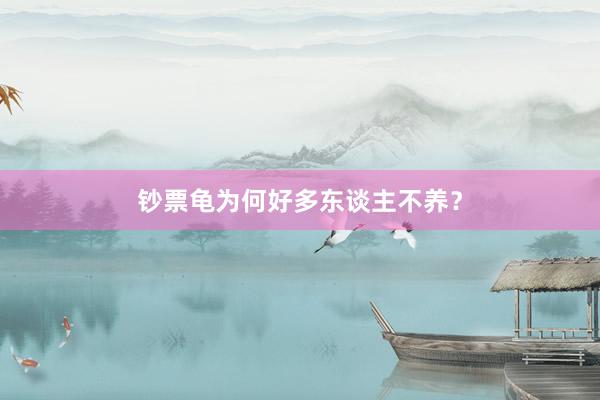 钞票龟为何好多东谈主不养？